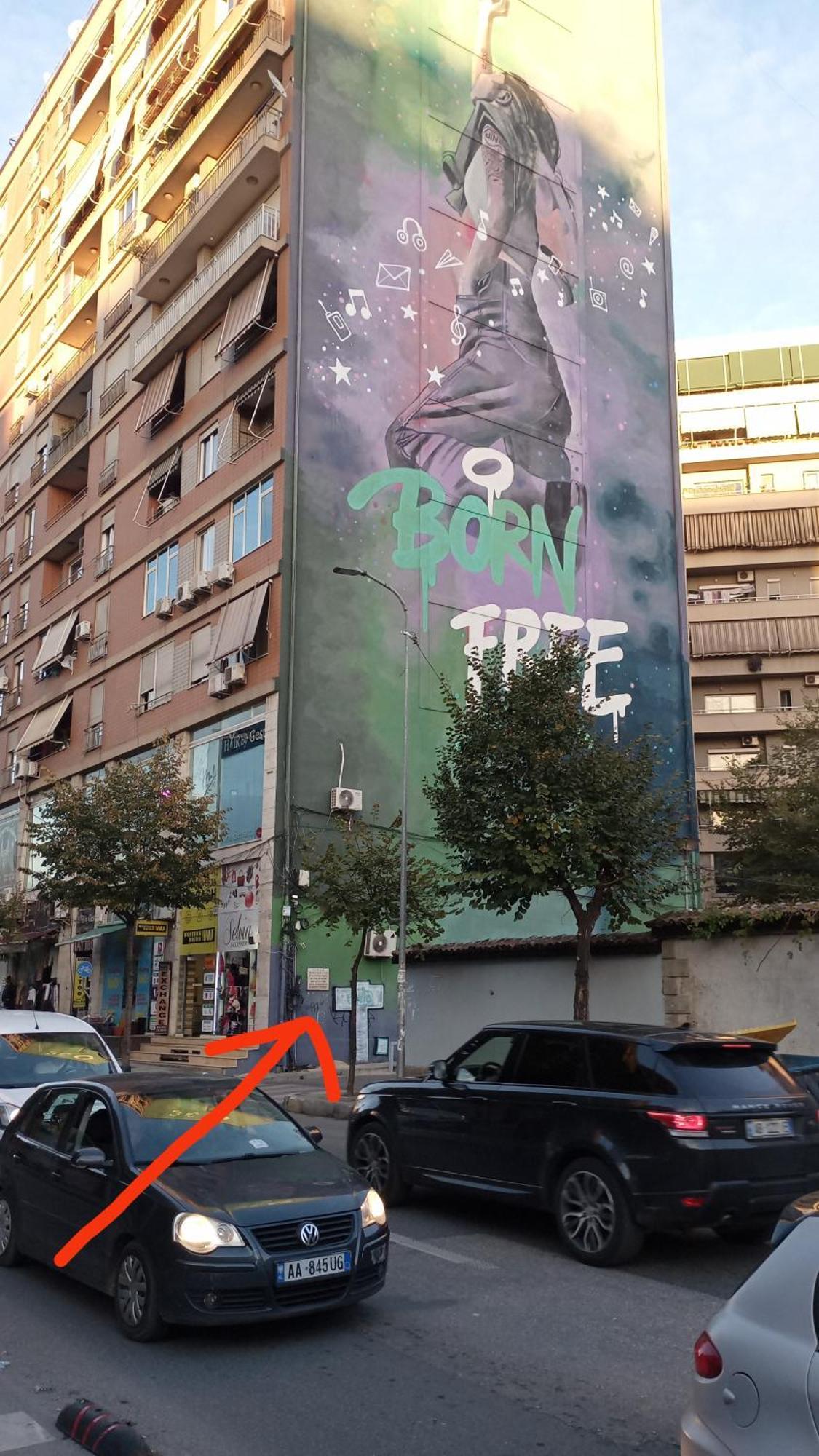 Selvia Apartament Tirana Værelse billede